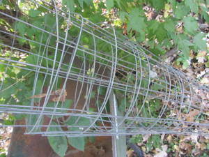 Tomato cages three 42 and six 54...