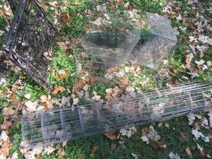 Trellis, flower garden fencing, wir...