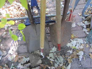 Garden hand tools...