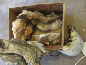 Aquarium rocks, hanging pig lawn or...