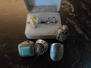 Costume Ring- checkout the elephant...