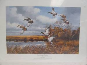 David A Maass print