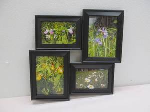wild flower  framed picture