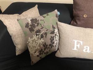 lot 165 image: Decorative Pillows
