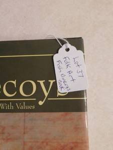 Fork Art Fish Decoy Book
