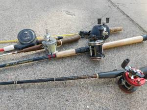 5 Rod and Reels