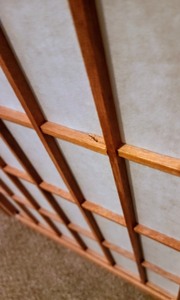 Privacy Screen