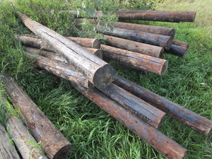 (20) Electrical Poles