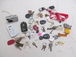 lot 293 image: Camera, remotes, key fobs