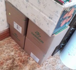 lot 40 image: Paper Dolls (7 boxes) and file cabinet organized and BIG MONEY LOT