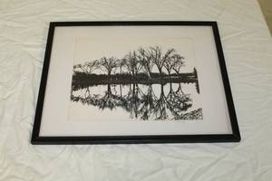 lot 68 image: Trees Reflection  by Craig  Matted Framed Art