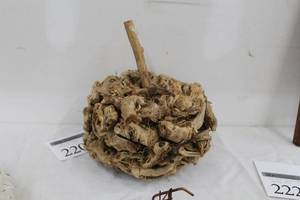 lot 220 image: Pumpkin  Wooden Table Art Dcor