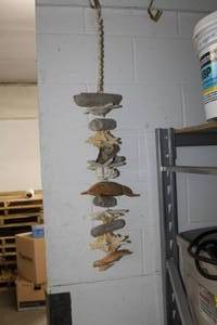 lot 228 image: SeashellsStarfishCoralDrift WoodCarved Turtles Hanging  Art Dcor