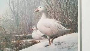 lot 114 image: Les Didier Print WINTER SNOWS SNOW GEESE  Framed, Signed and Numbered
