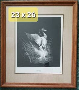 lot 123 image: D.J. Wirkkula Print STARTLED MALLARD  Framed, Signed and Numbered