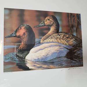 lot 102 image: Bruce Miller Print CANVASBACK DUCK  Framed, Signed and Numbered