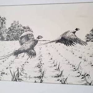 lot 144 image: Kathy Flynn PHEASANTS OVER THE STUBBLE BW Print