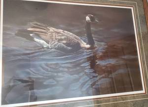 lot 140 image: Rebecca Latham Print CANADIAN GOOSE  Framed, Signed and Numbered