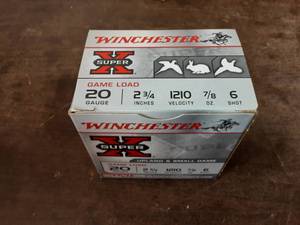 Box 25 Winchester 20Ga. 2-34 #6 Shot Shells