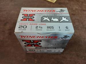 Box 25 Winchester 20Ga. 2-34 #6 Shot Shells