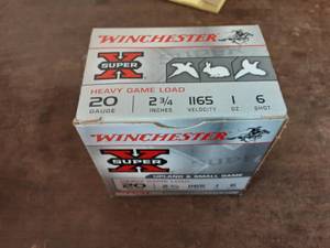 Box 25 Winchester 20Ga. 2-34 #6 Shot Shells