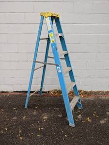 Werner 6 Fiberglass Ladder