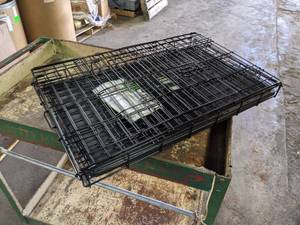 NEW iCrate Collapsible Dog Crate for Medium Dogs