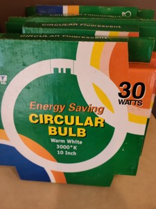 lot 19 image: Patriot Flush Mount Ceiling Light And Bulbs