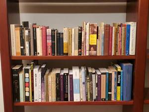(3) Shelves of Books
