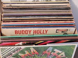 Misc. Record Albums Lot