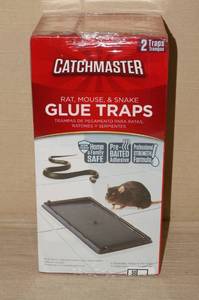 12 Glue Traps