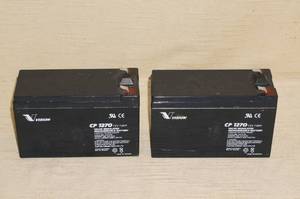 lot 45 image: 2 12V Vexilar Type Batteries