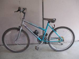 lot 12 image: Roadmaster Ultra Terrain Bike