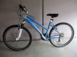 lot 63 image: Schwinn Ranger Bike
