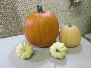 lot 201 image: Pumpkins Etc  EC2...