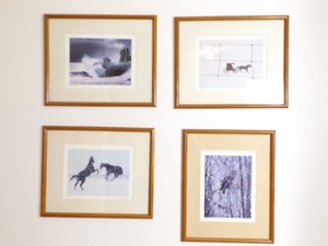 lot 26 image: Various Artist Signed Wood Framed Nature Pictures