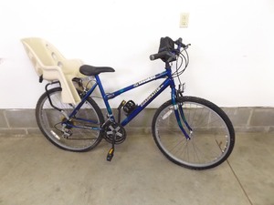 lot 170 image: Saguaro Roadmaster Road Bike