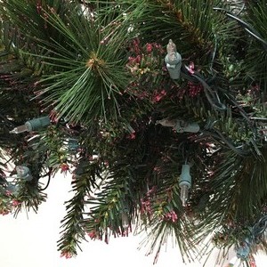 lot 129 image: 40 Tree in Planter
