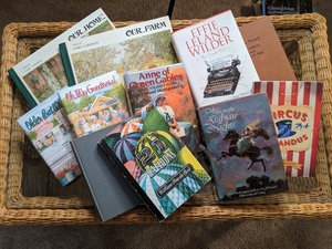 lot 253 image: Young Adult Reads