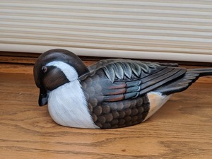 lot 208 image: Nesting Pintail