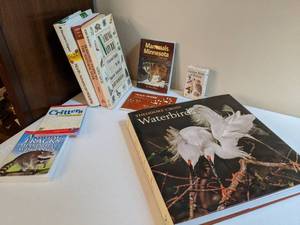 lot 142 image: All about critters