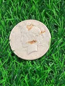 1923 Silver Peace Dollar