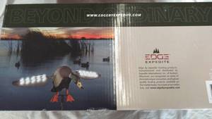Duck with LED lights