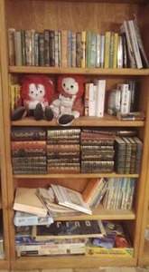 lot 165 image: Wooden Bookshelf