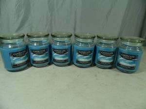lot 106 image: 6 New 18 oz Candlelite Candles