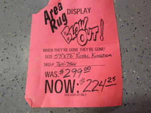 (New) Area Rug 5 3x7 6