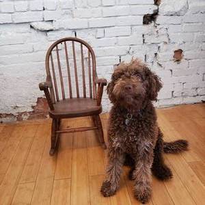 lot 52 image: Childs Windsor Rocking Chair