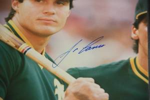 Oakland Athletics Jose Canseco 8x10 Photo Autograph JSA COA