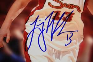 Connecticut Sun Lindsay Whalen 11x14 Photo Auto graph