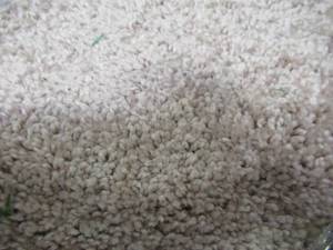 lot 600 image: Cut Roll of Apprx. 12 ft. x 11 ft. Beige Low-Pile Carpet 2140430